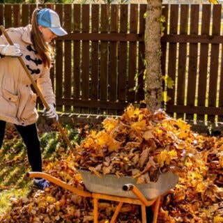 Get Ready for Autumn 2025 Outdoor Space Cleaning Checklist