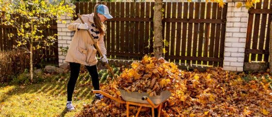 Get Ready for Autumn: 2025 Outdoor Space Cleaning Checklist  