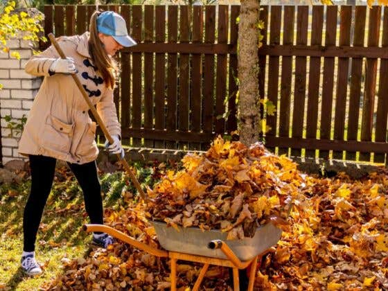 Get Ready for Autumn 2025 Outdoor Space Cleaning Checklist